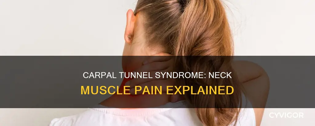 can carpel tunnel cause muscle pain in the neck