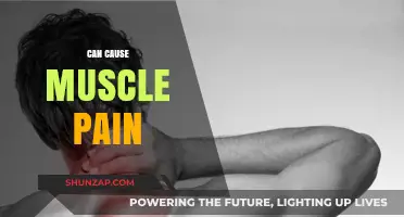 Muscle Pain Triggers: What You Need to Know