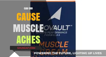CBD Muscle Aches: What You Need to Know