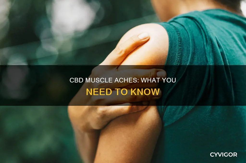 can cbd cause muscle aches