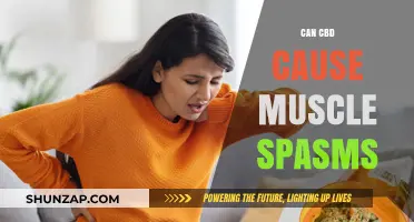 CBD and Muscle Spasms: What's the Link?