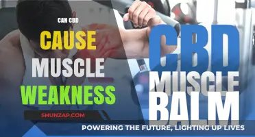 CBD and Muscle Weakness: What's the Link?