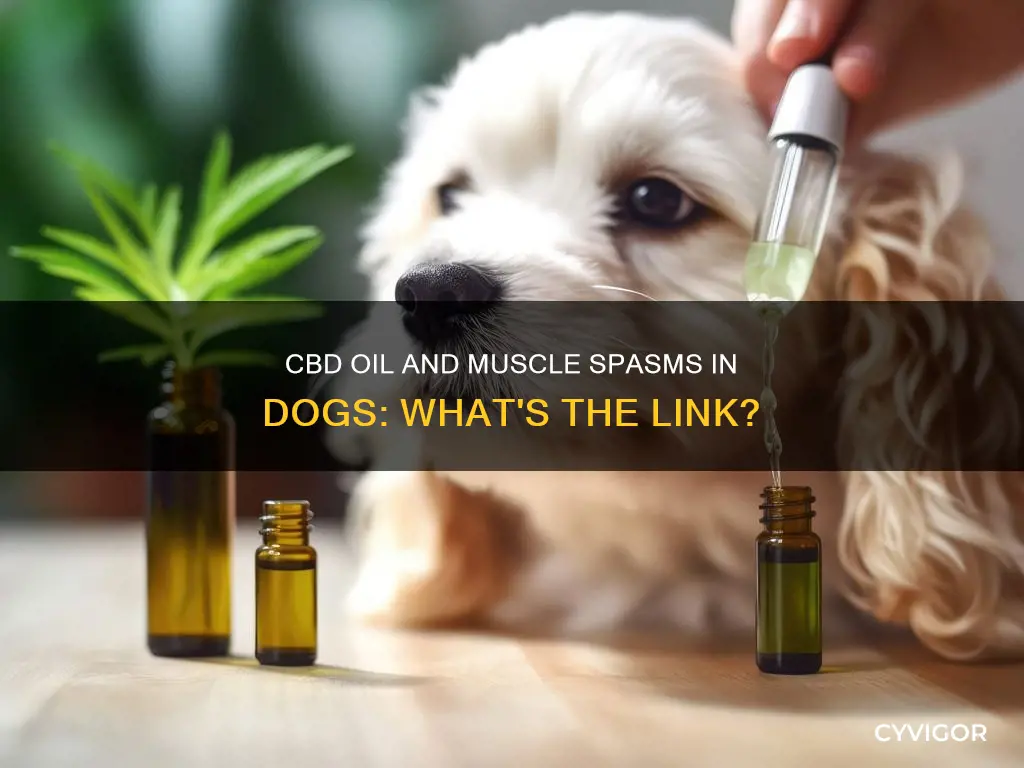 can cbd oil cause muscle spasms in dogs