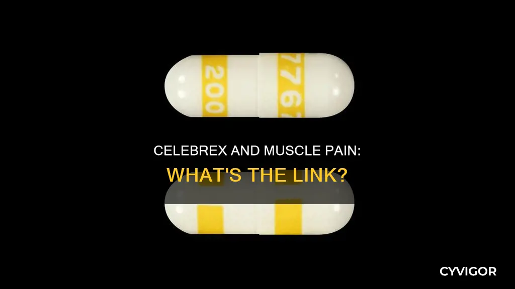 can celebrex cause muscle pain