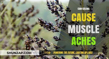 Celiac's Link to Muscle Aches: What You Need to Know