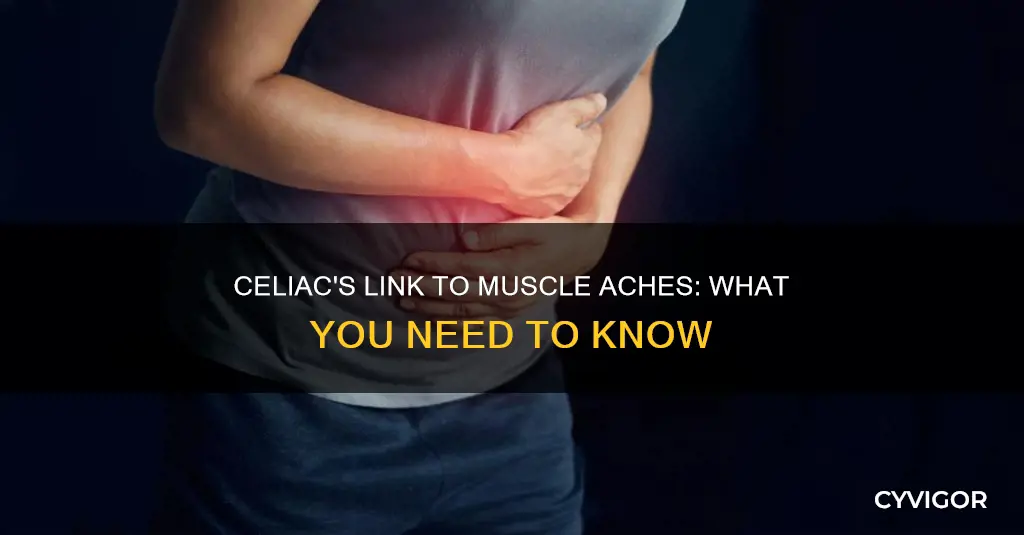 can celiac cause muscle aches