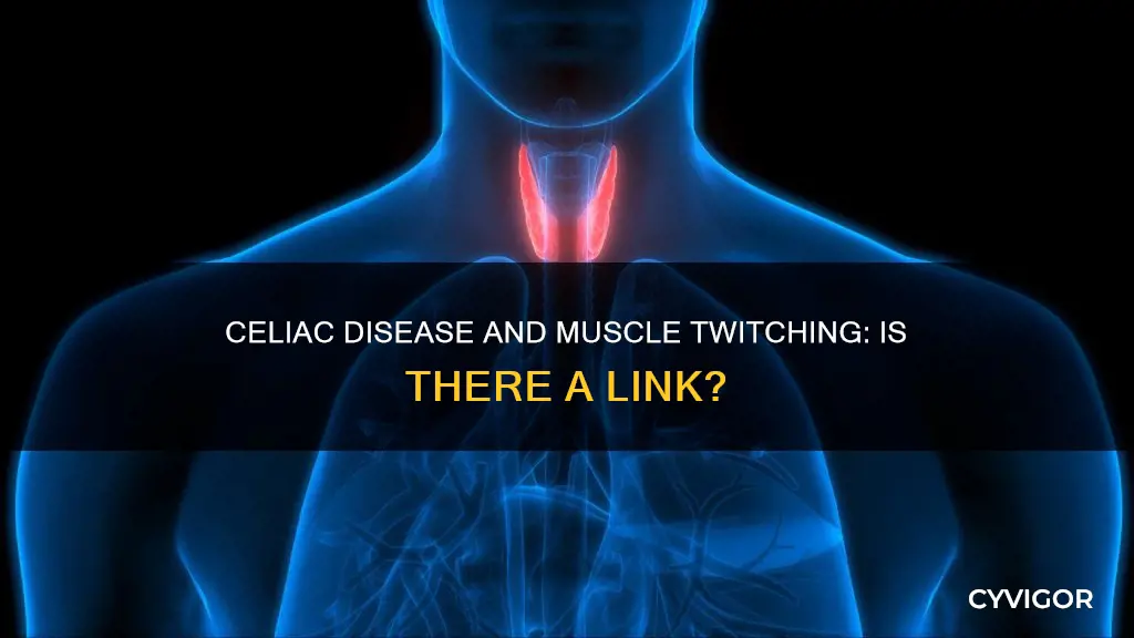 can celiac cause muscle twitching