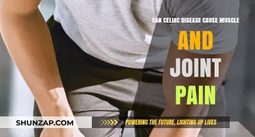 Celiac Disease: Muscle and Joint Pain Explained