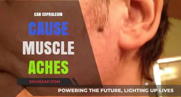 Cephalexin and Muscle Aches: What's the Link?