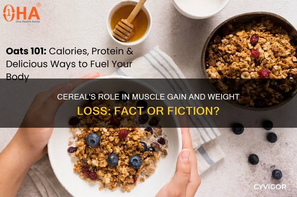 can cereal help you with muscle gain and weight loss