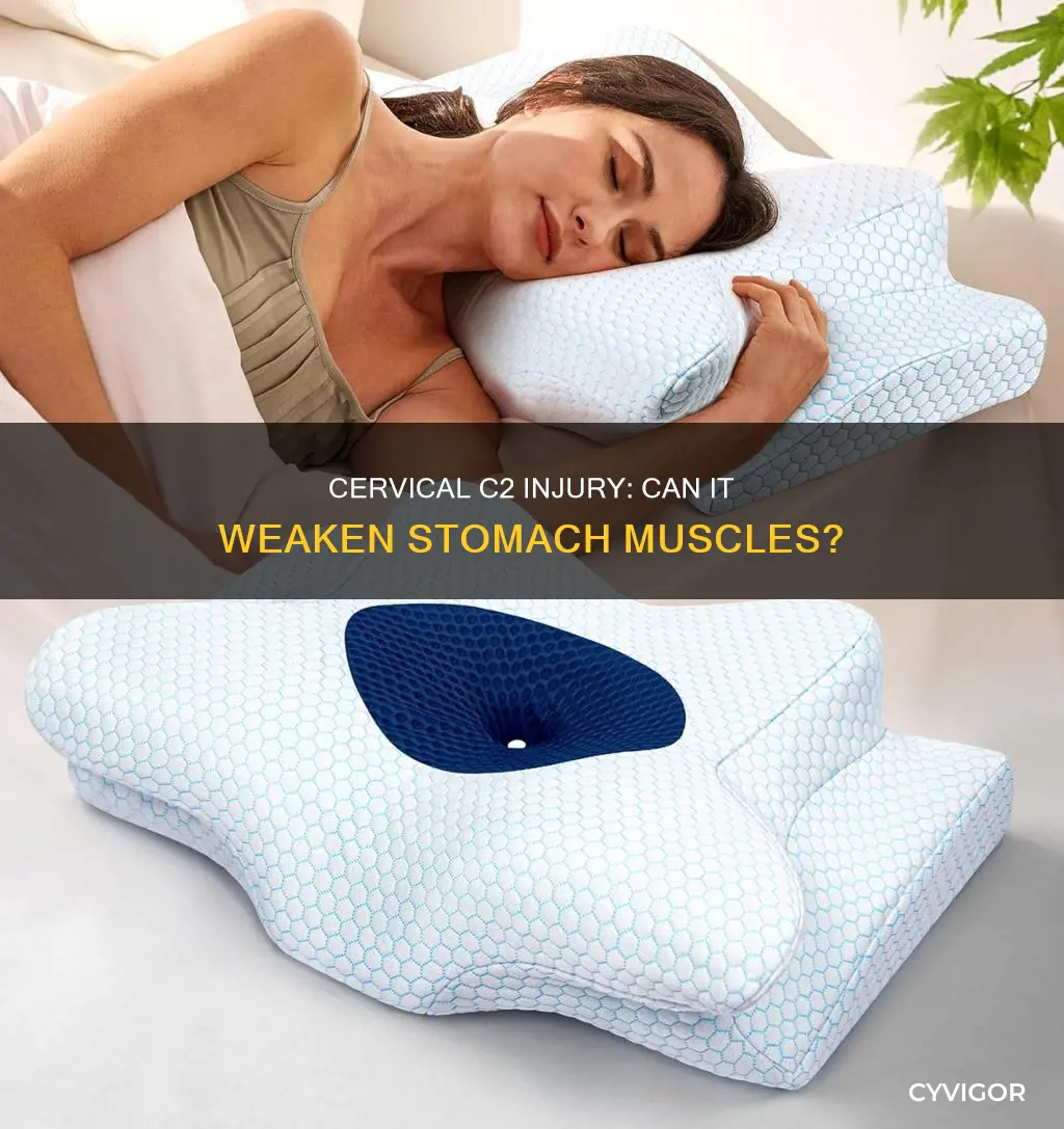 can cervical c2 injury cause stomach muscle weakness