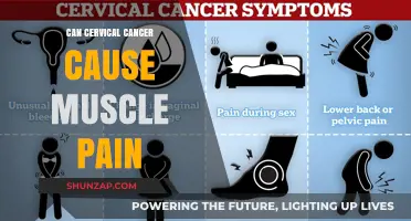 Cervical Cancer: Muscle Pain and Its Link