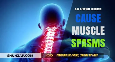 Cervical Lordosis: Understanding the Link to Muscle Spasms