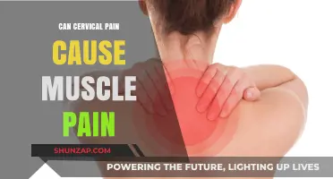 Cervical Pain and Its Link to Muscle Aches