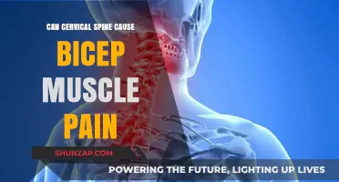 Cervical Spine and Bicep Pain: Is There a Link?