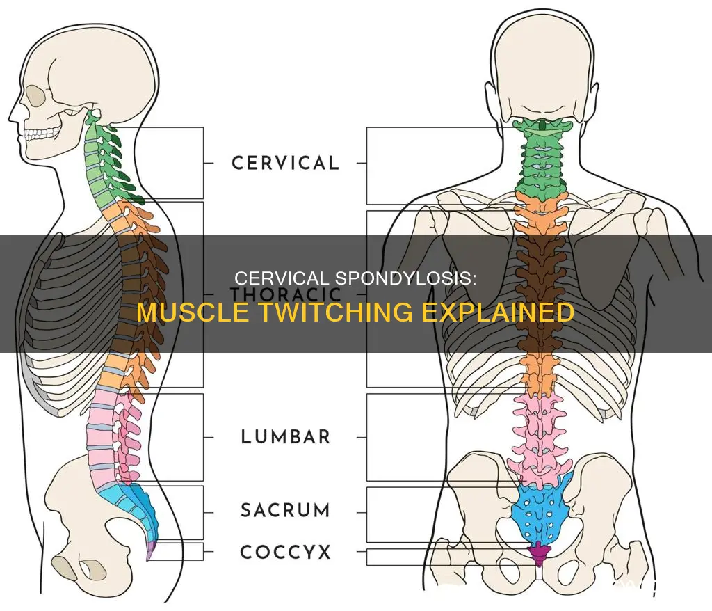 can cervical spondylosis cause muscle twitching