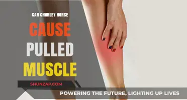 Charley Horses: The Cause of Pulled Muscles?