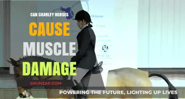 Charley Horses: Do They Damage Muscles?