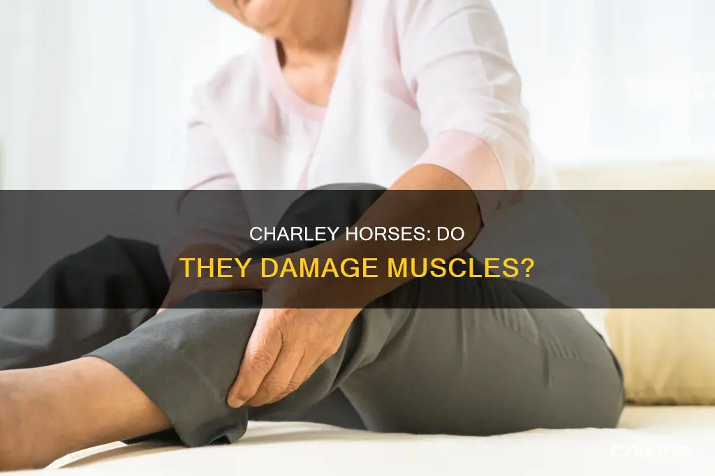 can charley horses cause muscle damage