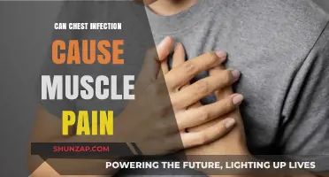 Chest Infections: Muscle Pain and Other Symptoms