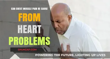 Chest Pain: Heart or Muscle?