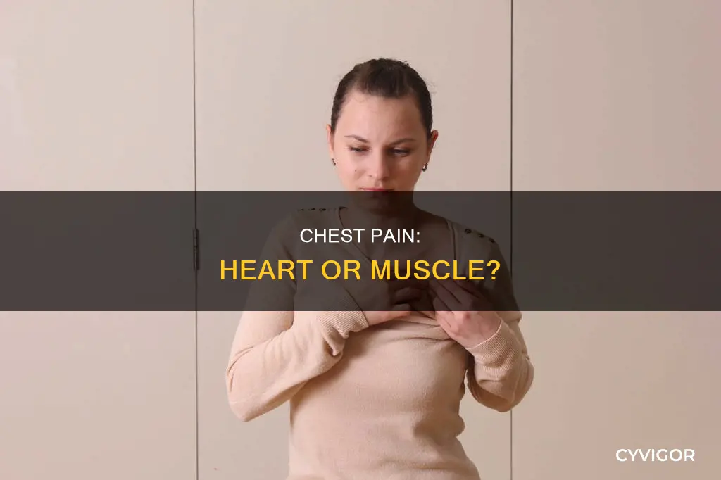 can chest muscle pain be cause from heart problems