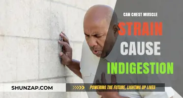 Chest Muscle Strain: Can it Cause Indigestion?