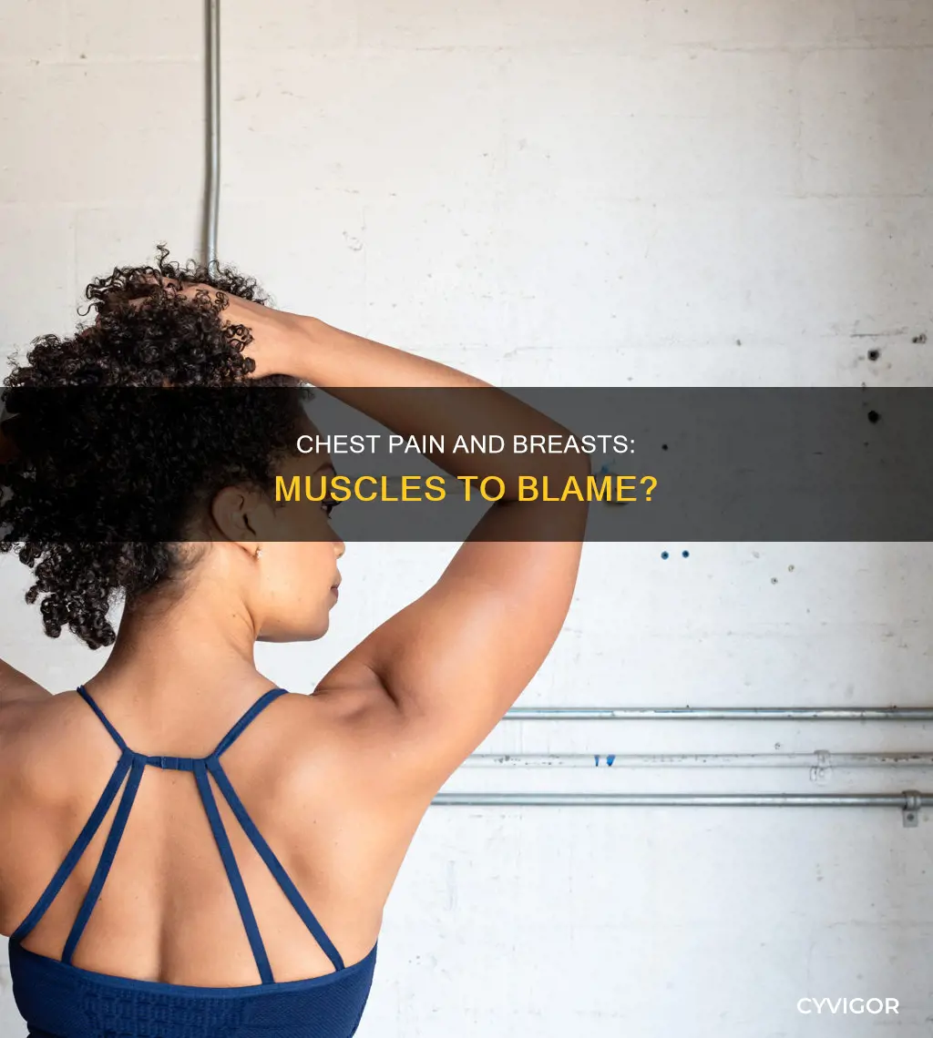 can chest muscles cause breast pain