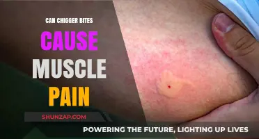 Chigger Bites: Do They Cause Muscle Pain?