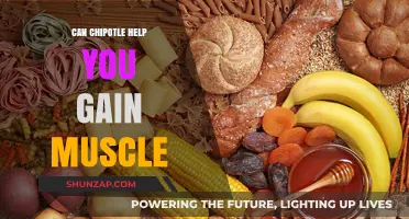Can Chipotle Fuel Muscle Growth? A Fitness Enthusiast's Guide