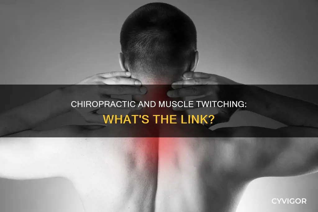 can chiropractic cause muscle twitching