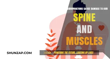 Chiropractic Care: Risks of Spinal and Muscle Damage