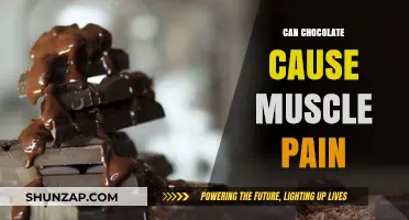Chocolate and Muscle Pain: What's the Link?