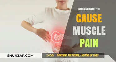 Cholecystitis: Understanding the Link Between Gallbladder and Muscle Pain