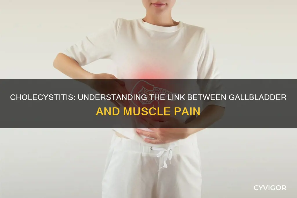 can cholecystitis cause muscle pain