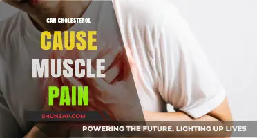 Cholesterol's Link to Muscle Pain and Aches