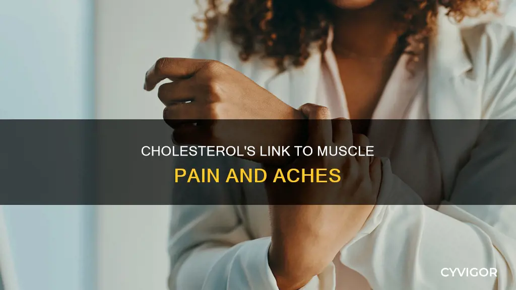 can cholesterol cause muscle pain