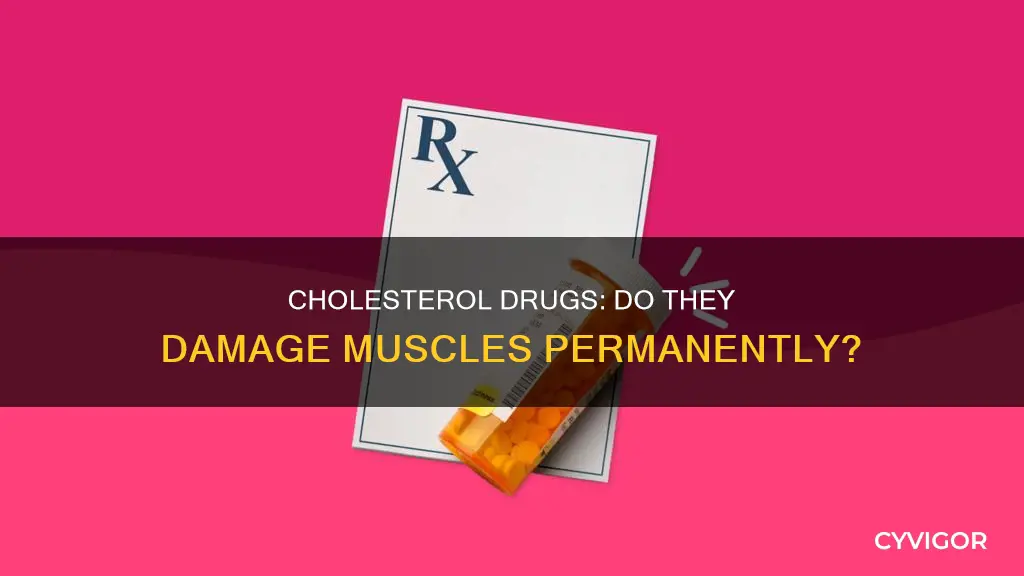 can cholesterol medication cause permanent muscle damage
