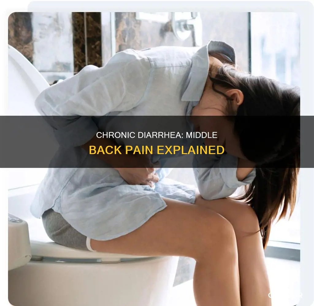 can chronic diarrhea cause pain in middle back muscles