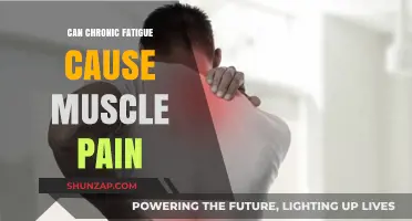 Chronic Fatigue and Muscle Pain: What's the Link?