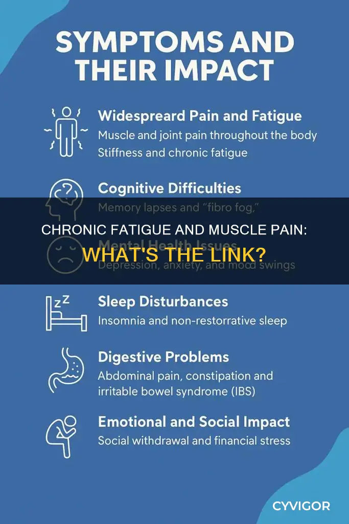 can chronic fatigue cause muscle pain