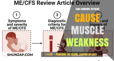 Chronic Fatigue: The Link to Muscle Weakness