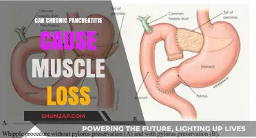 Chronic Pancreatitis: Understanding Muscle Loss