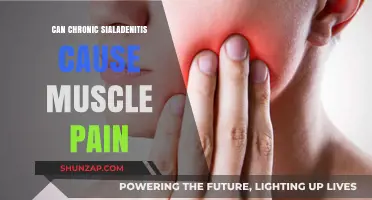 Chronic Sialadenitis: Muscle Pain's Unlikely Source