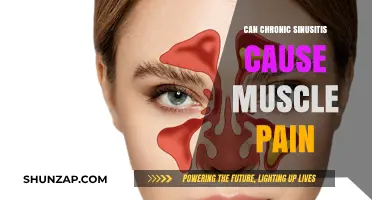 Chronic Sinusitis: Muscle Pain and Misery