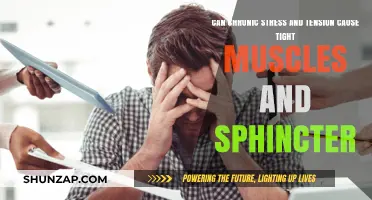Stress, Tension, and Muscle Tightness: What's the Link?