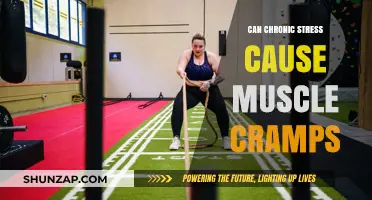 Stress-Induced Muscle Cramps: Understanding the Mind-Body Connection