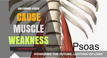Chronic Stress: Weakening Muscles and Overall Health