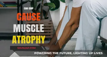 Muscle Atrophy and CIDP: What's the Link?