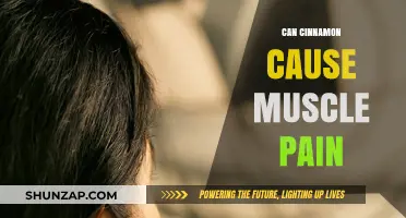 Cinnamon's Muscle Pain Connection: What You Need to Know
